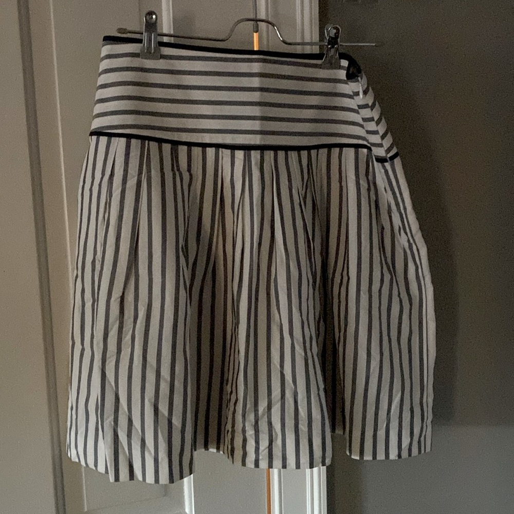 Ann Taylor Skirt